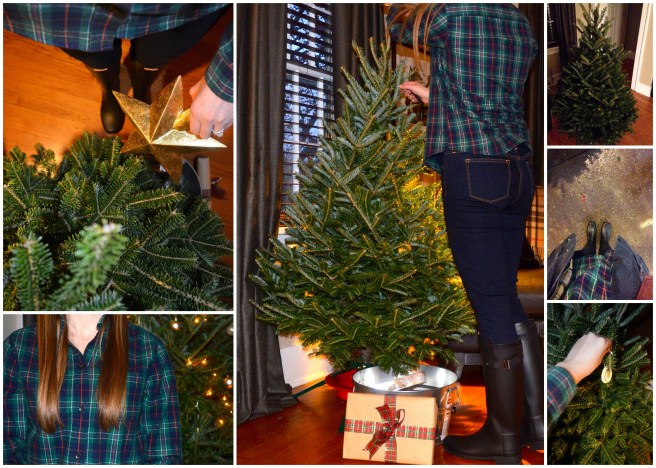 winter-collage-2-tree-trimming