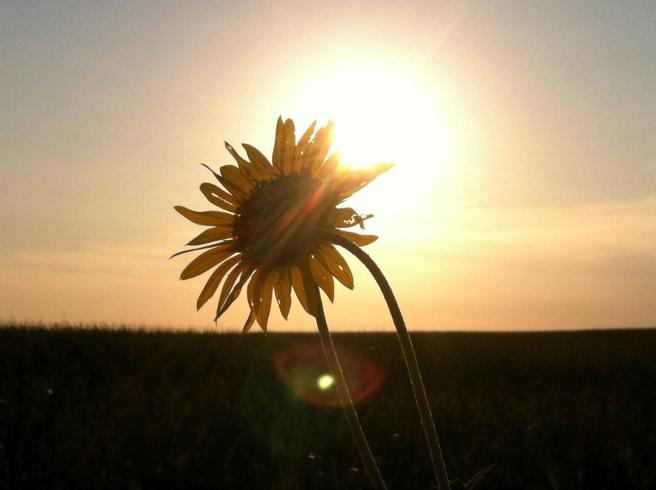 415644_357459954342052_862795855_o