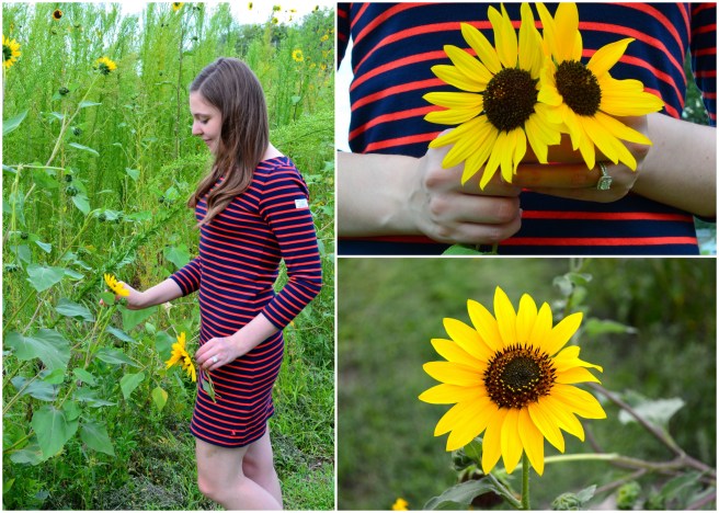 Striped DressWildflowers 1