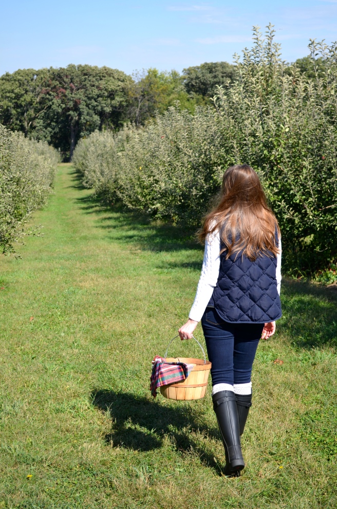 Apple Picking_0914