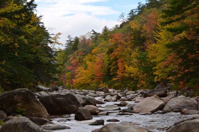 Exploring the White Moutains_1174