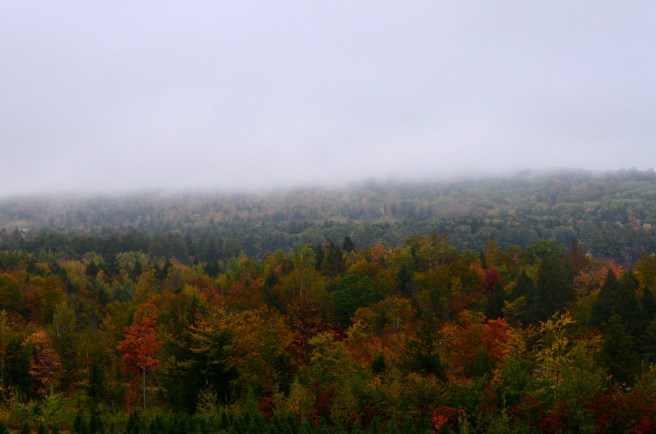 Fall Foliage Drive 2017_1108