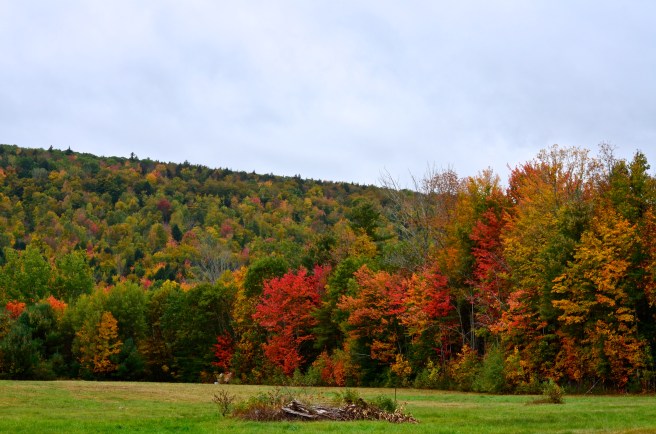 Fall Foliage Drive 2017_1138