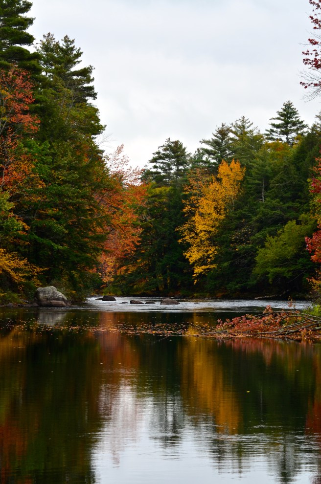 Fall Foliage Drive 2017_1158