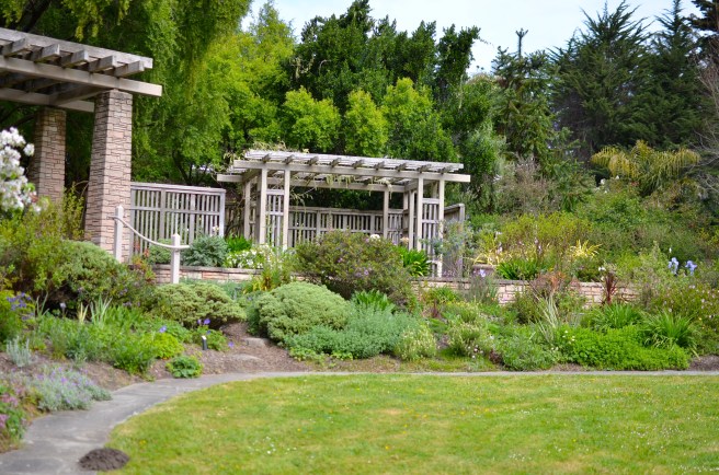 Golden Gate Botanical Garden_0352